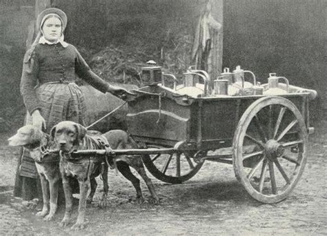 The Milky Way: Back in the Day, Milk Cans Delivered 